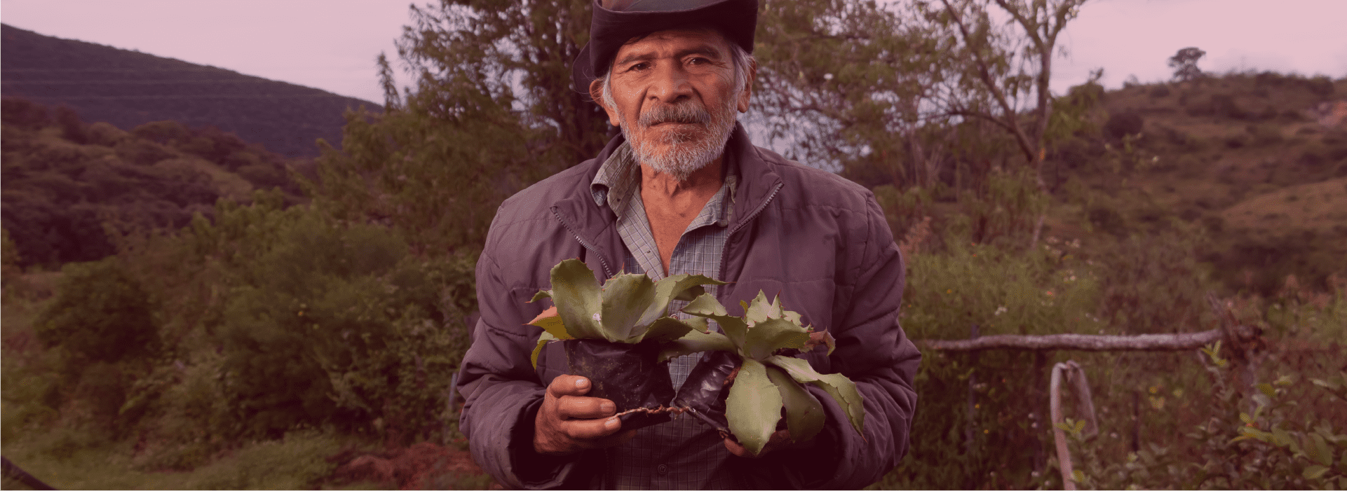 Guerrero2_2