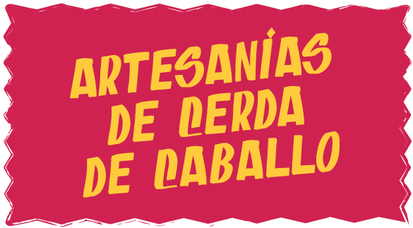 Artesanías-de-cerda-de-caballo