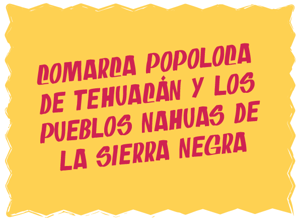 Comarca-Popoloca-de-Tehuacán-y-los-Pueblos-Nahuas-de-la-Sierra-Negra