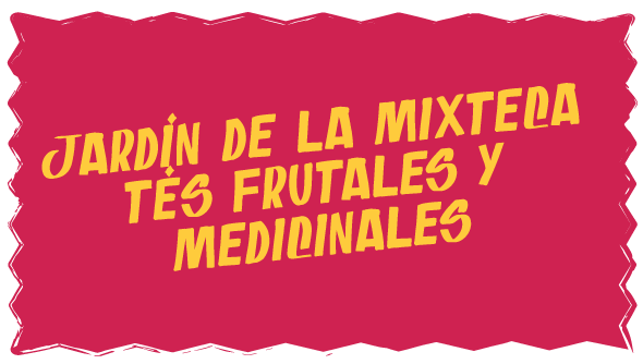 Jardín-de-la-Mixteca.-Tés-frutales-y-medicinales
