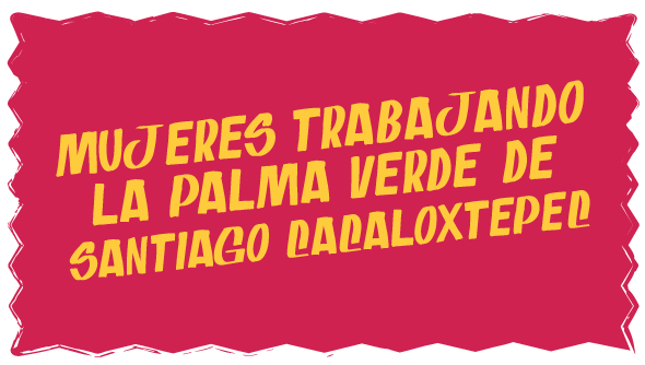 Mujeres-trabajando-la-Palma-Verde-de-Santiago-Cacaloxtepec